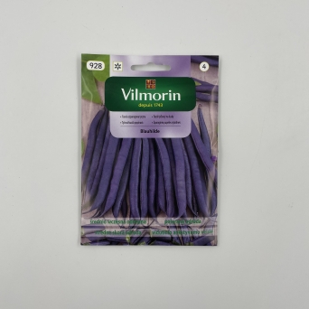 FASOLA SZPARAGOWA TYCZNA BLAUHILDE 10G VILMORIN