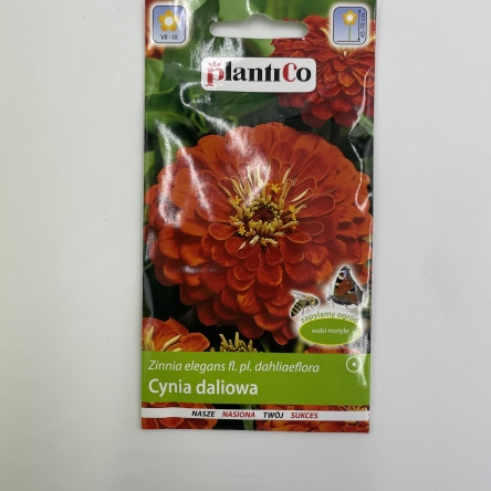 CYNIA DALIOWA 1G PLANTICO