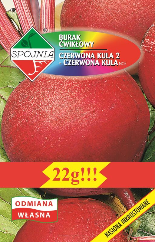 BURAK ĆWIKŁOWY CZERWONA KULA 2 - CZERWONA KULA REW NA TAŚNIE 6METRÓW (OK.120 NASION) OŻARÓW MAZOWIECKI