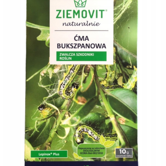 Ziemovit ćma bukszpanowa - 10g