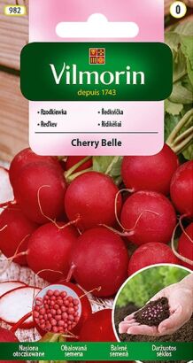 RZODKIEWKA CHERRY BELLE OTOCZKOWANE 300SZT VILMORIN