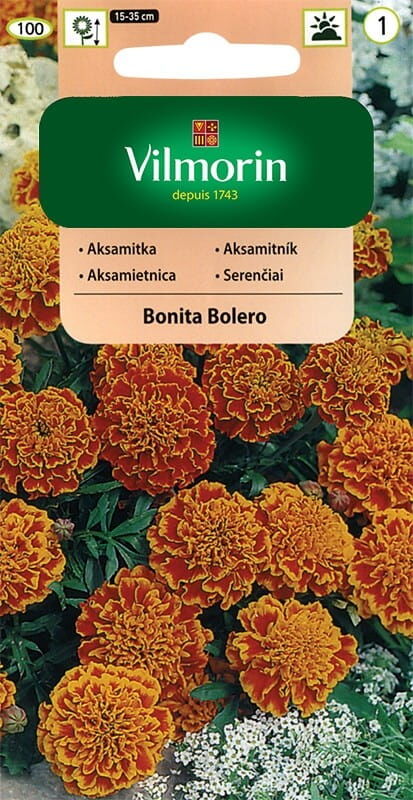 AKSAMITKA BONITA BOLERO 1G VILMORIN