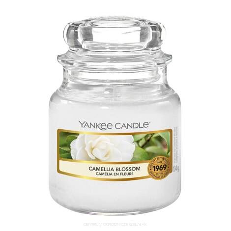 YANKEE CANDLE ŚWIECA CAMELLIA BLOSSOM 104 G